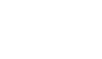Born Again Apparel Co. logo